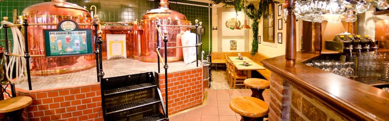 Salm Bräu Vienna – Where Tradition Meets Flavor