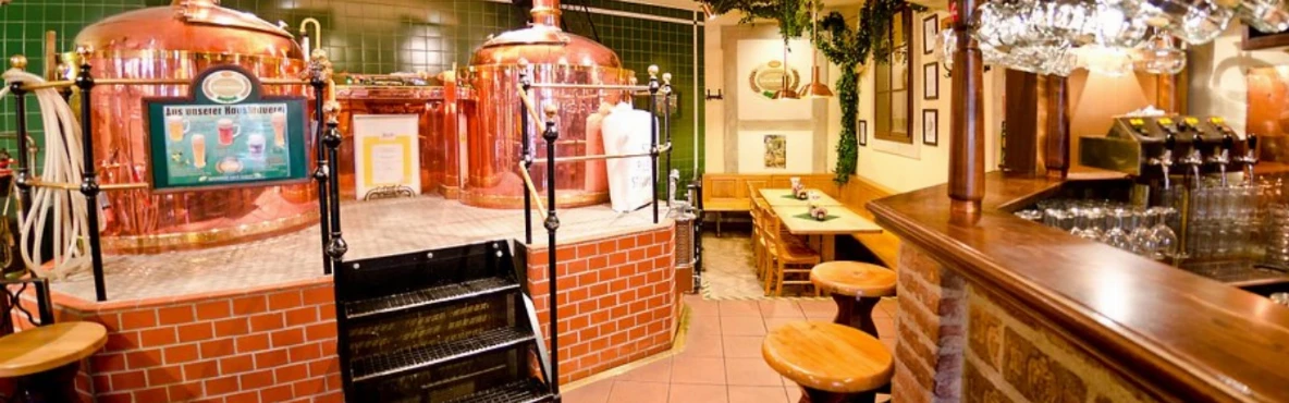 Salm Bräu Vienna – Where Tradition Meets Flavor