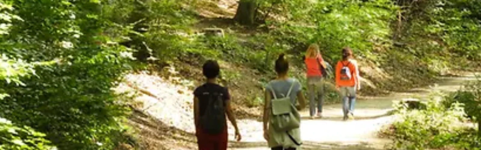 Vienna Woods (Wienerwald)