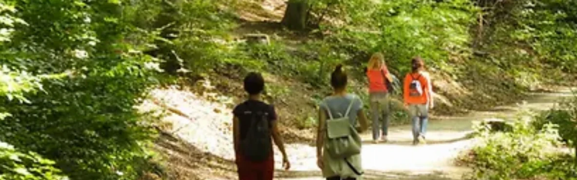 Vienna Woods (Wienerwald)