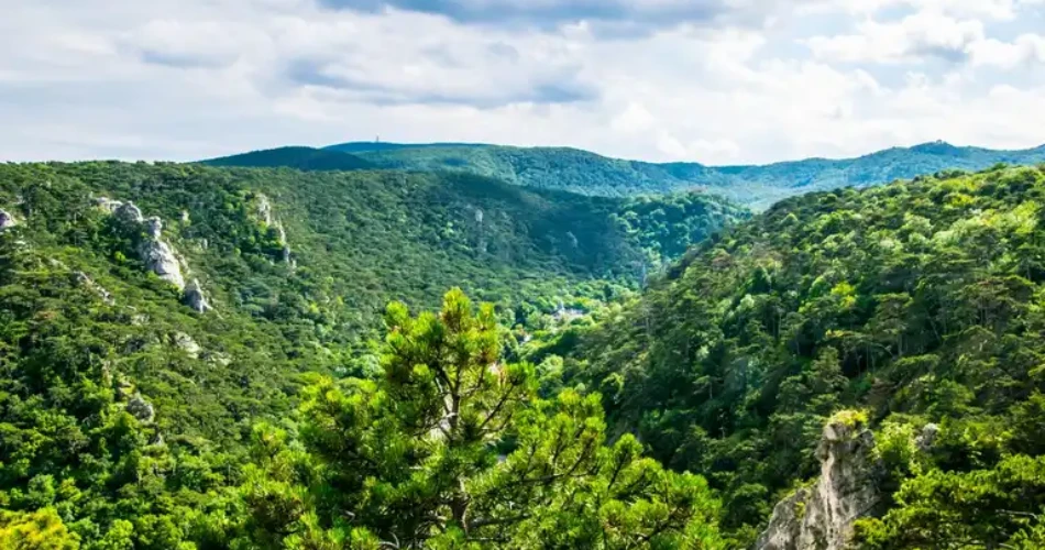 Vienna Woods (Wienerwald)